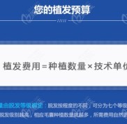 2024-2024年有誰知道重慶現(xiàn)在植發(fā)一個毛囊單位大約需要