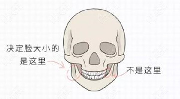 拔智齒牙會(huì)改變臉型嗎