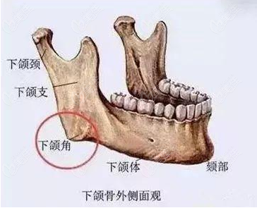 想问问上海的李志海和何晋龙谁做下颌角手术好呢