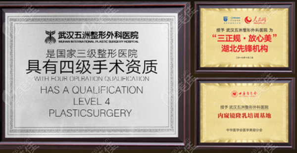 口碑好的武汉五洲莱美具有四级手术资质