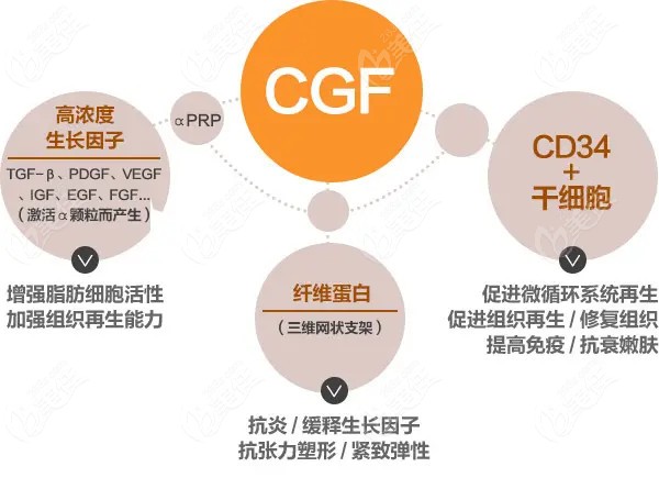 来看上海能做cgf治疗脱发的医院名单