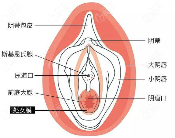 石家庄做处女膜修复的正规医院哪里好