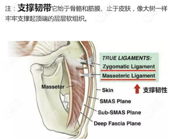 柳民熙拉皮手術做得好嗎