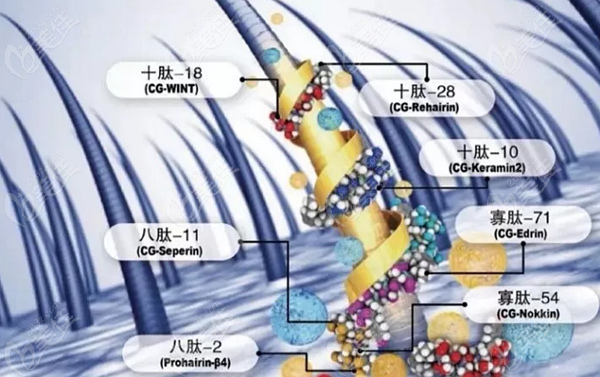 德瑪莉頭發(fā)修復(fù)精華液一個療程多少錢