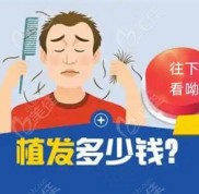 恩施植發(fā)多少錢