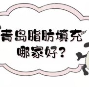青島脂肪填充哪家技術(shù)好