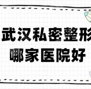武漢私密整形哪家醫(yī)院好