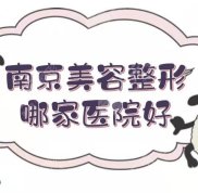 南京美容整形哪家醫(yī)院技術(shù)好
