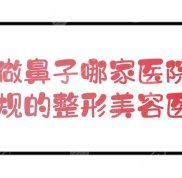 淄博做鼻子哪家醫(yī)院技術(shù)好