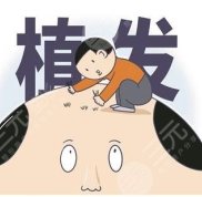 深圳北大醫(yī)院植發(fā)和碧蓮盛植發(fā)哪個(gè)好