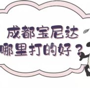 成都寶尼達(dá)哪里打的口碑好