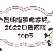 昆明隆鼻哪家口碑好