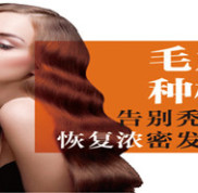 植發(fā)2024個單位需要多少錢？