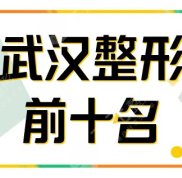 武漢排名榜單前十整形醫(yī)院