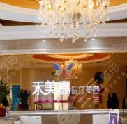 北京禾美嘉脂肪填充技術怎么樣
