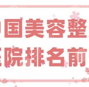 中國美容整形醫(yī)院排名前十名單