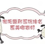 衡陽整形醫(yī)院排名分享