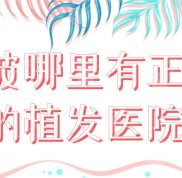 寧波哪里有正規(guī)的植發(fā)醫(yī)院