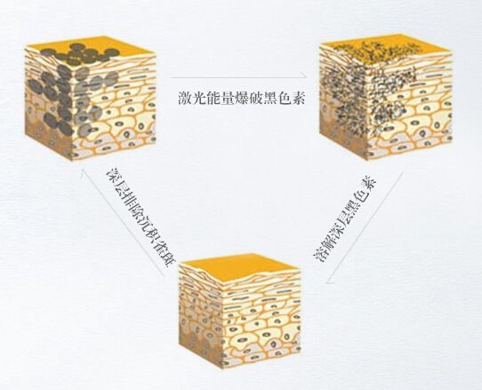 广州医科大学附属第二医院美容科医生有哪些