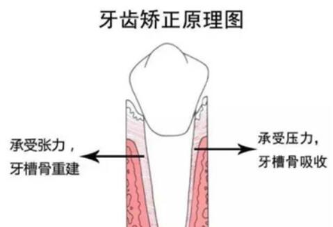 廣醫(yī)二院牙科掛號(hào)方法分享