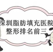 深圳脂肪填充哪個醫(yī)院比較出名