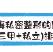 上海私密整形的醫(yī)院(三甲+私立)排名:九院、美聯(lián)臣、伯思立等