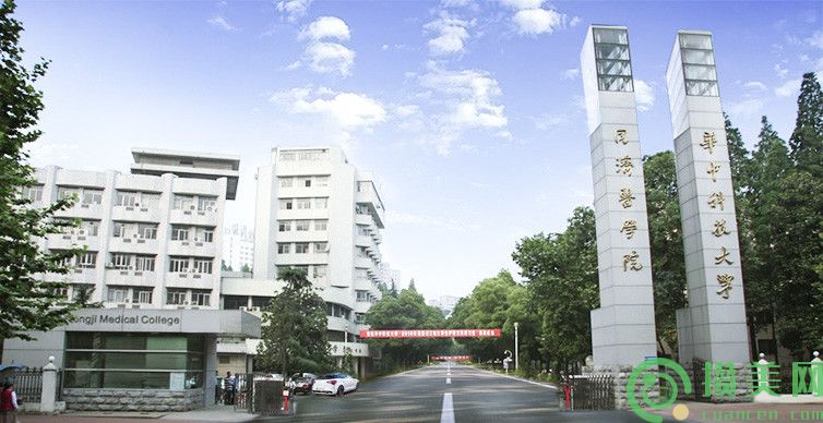 武汉同济医院学院