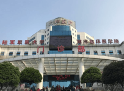 重庆陆军特色医学中心大坪医院环境