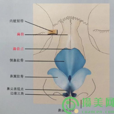 遵义市修复鼻骨医院排行榜前十的可靠之选（仁怀熊本漾医疗美容门诊部位列前七）