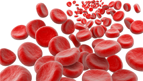 PRP富血小板血浆治疗是什么