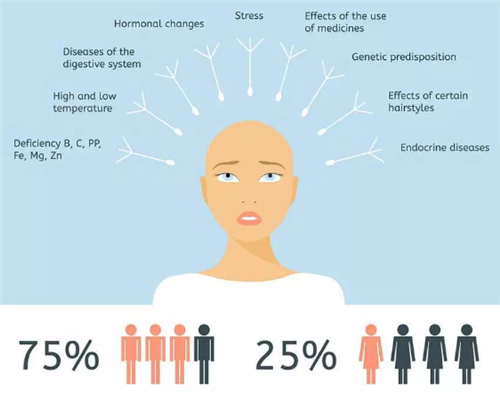 不同个体脱发的原因