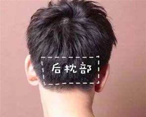 植发提取后枕部毛囊的地方还会长头发吗？