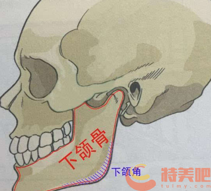 上海下颌角磨骨