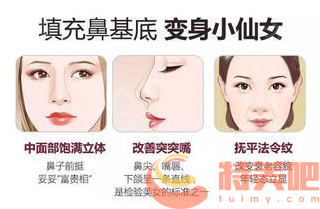 垫鼻基底
