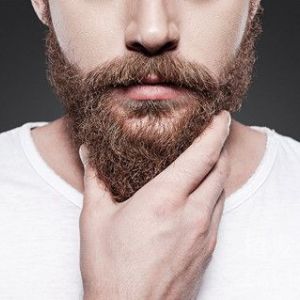 重庆种胡子的价格是多少？