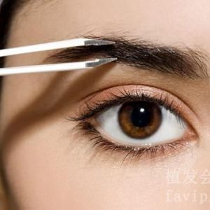 广州眉毛种植手术的价格是多少？
