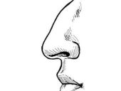 驼峰鼻该怎么矫正？