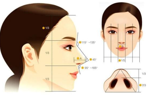 日本整形医生告诉您为什么假体隆鼻会做的不自然?