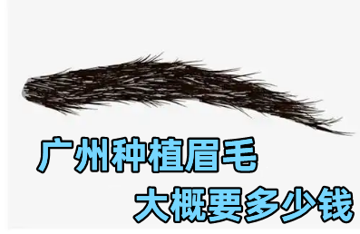 广州种植眉毛大概要多少钱?