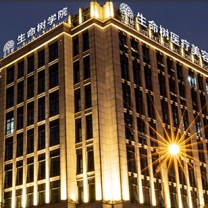 上海生命树医疗美容门诊部2024整形价格