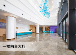 广州紫馨（三级）整形外科医院