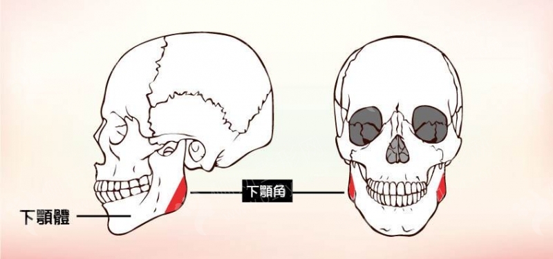 上海市口碑*好的面部轮廓整形医生排名