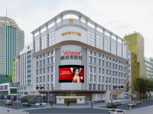 政医携手！“新疆威兹曼·慈善之光”公益耳