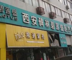 西安碧莲盛植发-logo