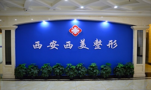 成都素美整形医院logo