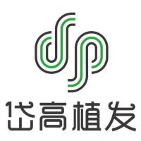 长沙岱高植发-logo