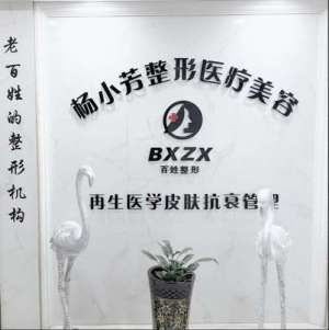 成都素美整形医院logo